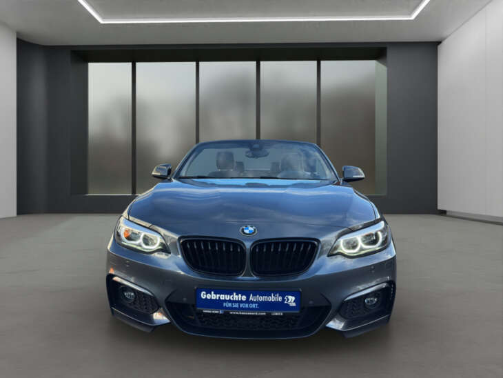 BMW 220 - Foto Nr. 03 - Bildvorschau