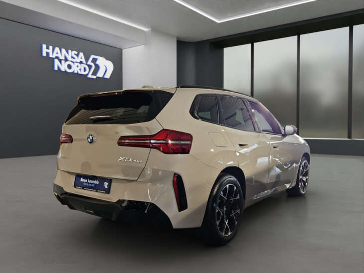 BMW X3 - Foto Nr. 03 - Bildvorschau